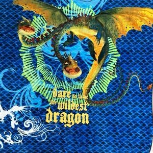 Dreamworks How To Train Your Dragon Dare to Tame the Wildest Dragon ThrowBlanket
